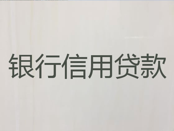 保山贷款中介公司